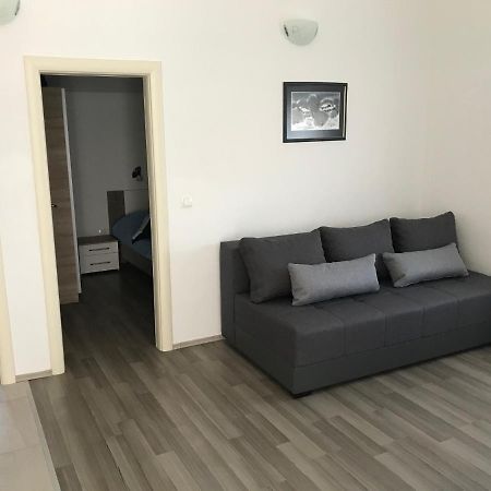 Apartments Ruzic روغوزنيكا المظهر الخارجي الصورة